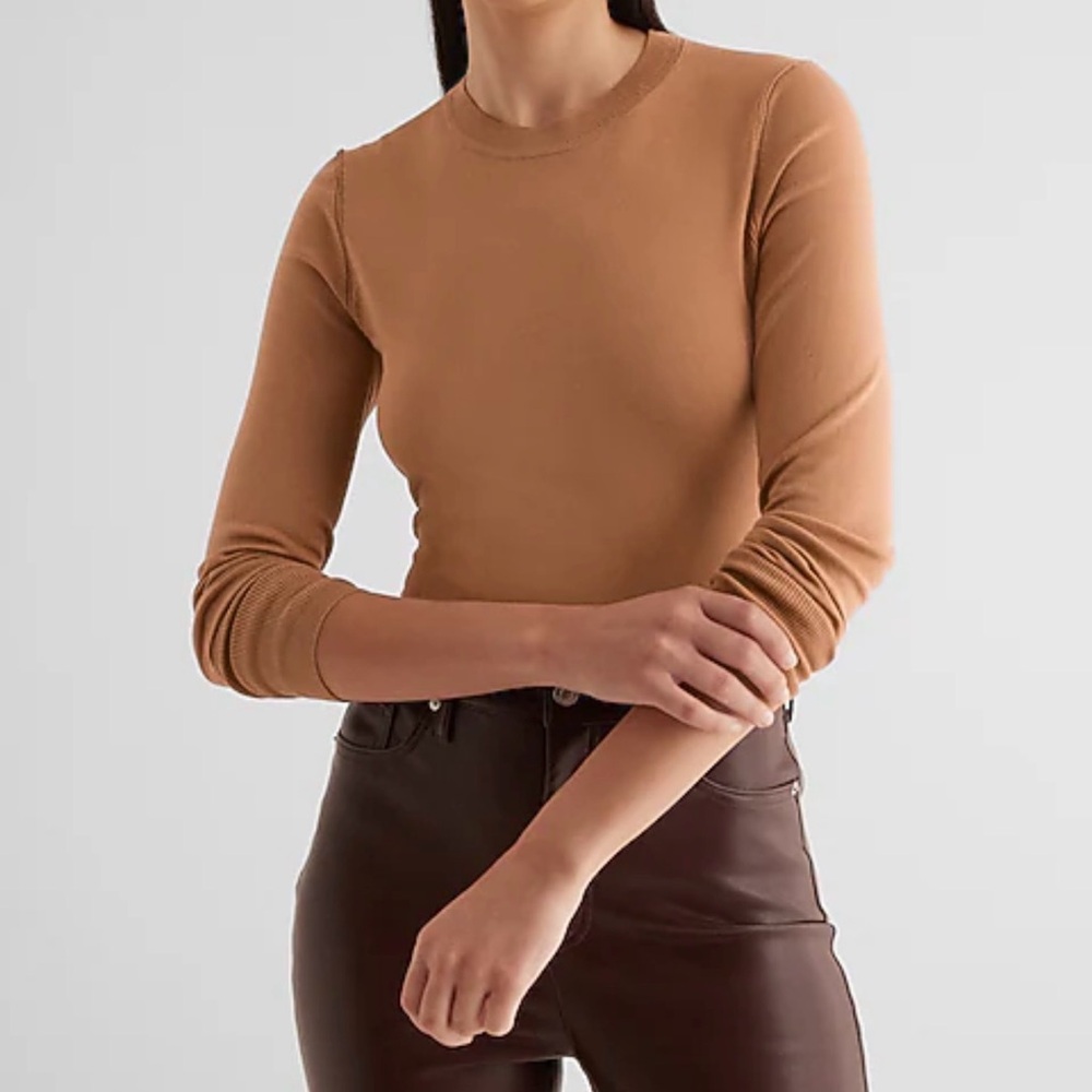 Express Fitted Crewneck Sweater